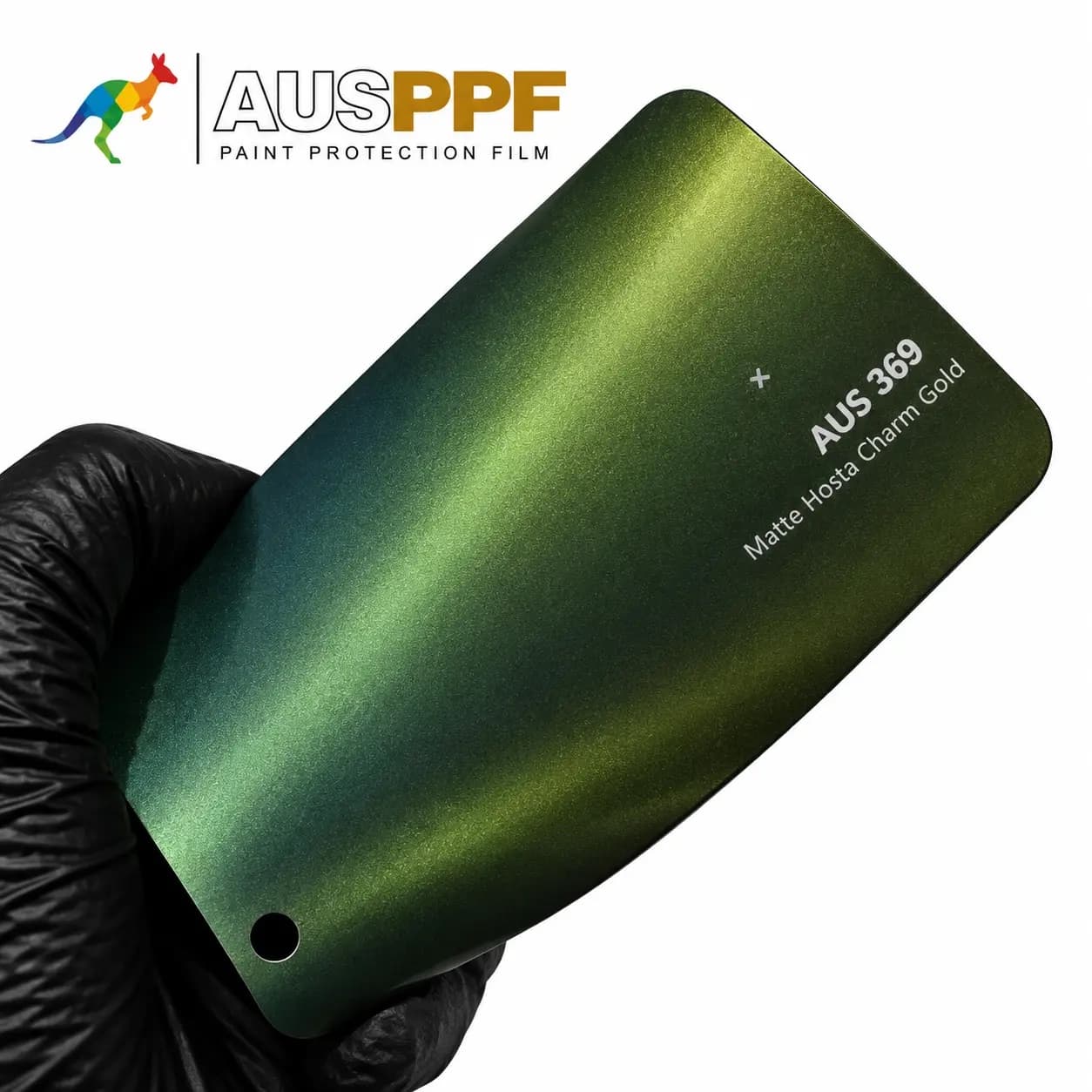 A gloved hand holding a swatch of AusPPF AUS-369 Matte Hosta Charm Gold PPF, showing its matte finish.